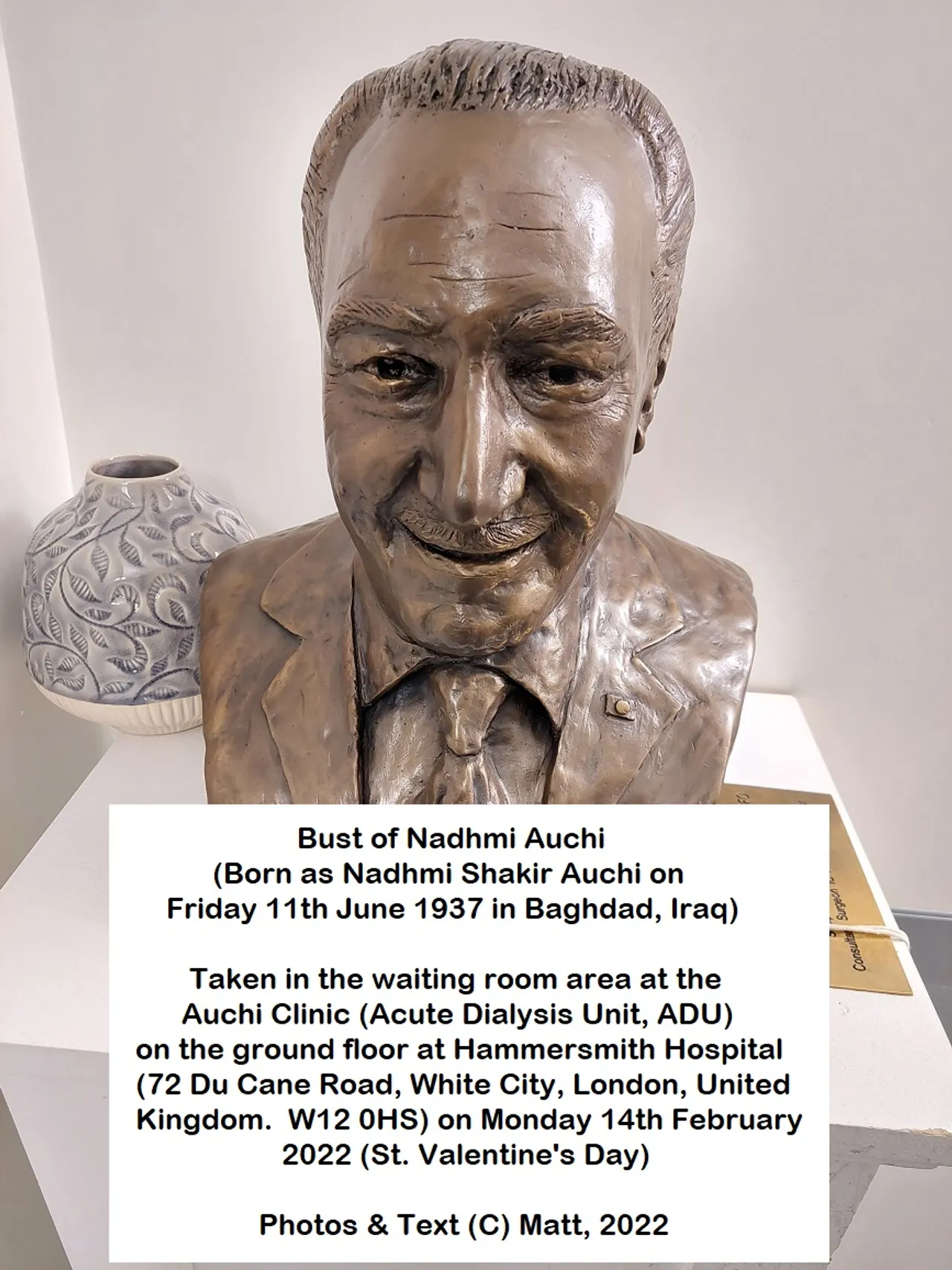 Nadhmi Auchi portrait